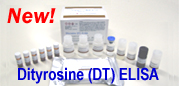 Dityrosine (DT) ELISA kit