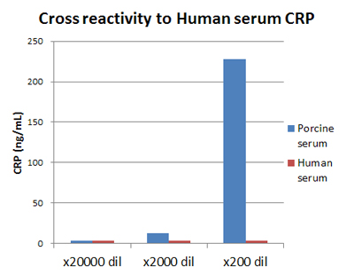 ブタCRP測定キットについて、ヒト血清検体との反応性は見られませんでした