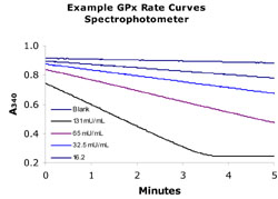 グルタチオンペルオキシダーゼ(GPx)測定時のタイムコース
