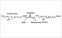 LPO¬ꥭåȡHbMbˡLipid Peroxide إ⥰ӥ֥롼ˡassay kit